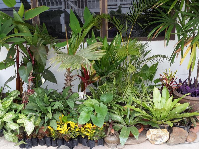 The Stay Guest House Loei Exterior foto